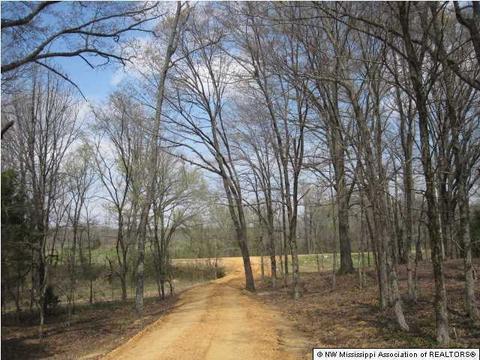 164 Luke Ln, Coldwater, MS 38618 photo 9