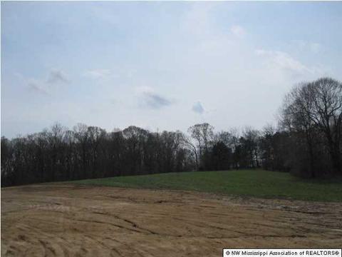 164 Luke Ln, Coldwater, MS 38618 photo 7