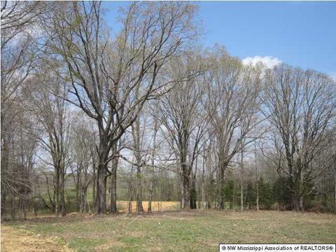 164 Luke Ln, Coldwater, MS 38618 photo 3