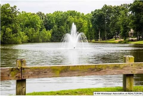 4755 Riviera Dr, Nesbit, MS 38651 photo 19