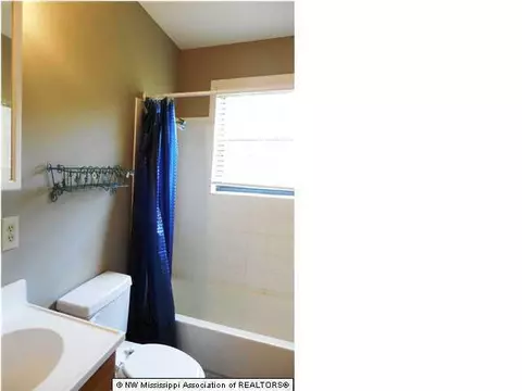 4197 Arkabutla Rd, Coldwater, MS 38618 photo 10