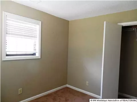 4197 Arkabutla Rd, Coldwater, MS 38618 photo 9