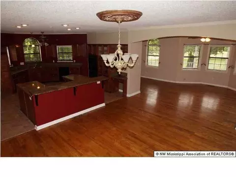 2065 Jaybird Rd, Hernando, MS 38632 photo 9