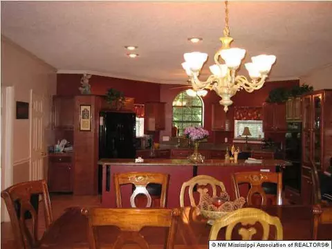 2065 Jaybird Rd, Hernando, MS 38632 photo 8