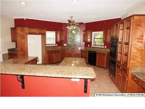 2065 Jaybird Rd, Hernando, MS 38632 photo 10
