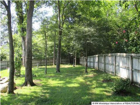 2520 Appleton Dr, Southaven, MS 38672 photo 28