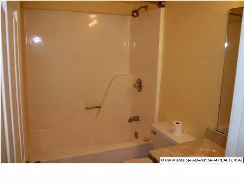 6757 River Birch Rd, Walls, MS 38680 photo 16