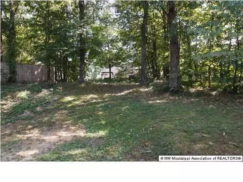 4019 Crystal Ct, Nesbit, MS 38651 photo 12