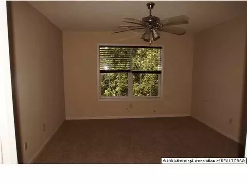 4019 Crystal Ct, Nesbit, MS 38651 photo 16