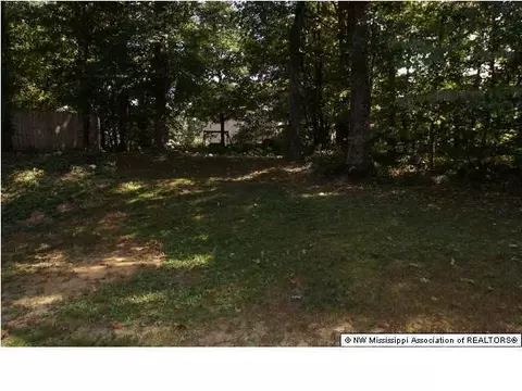4019 Crystal Ct, Nesbit, MS 38651 photo 11