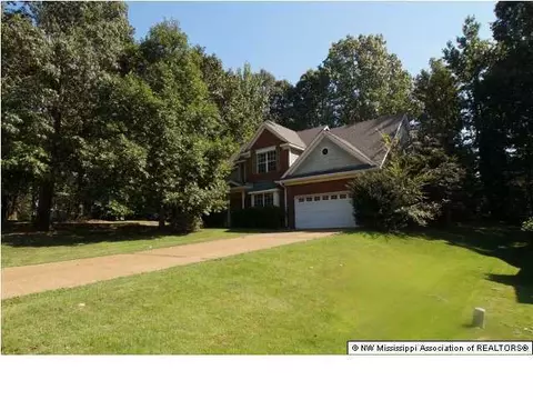 4019 Crystal Ct, Nesbit, MS 38651 photo 18