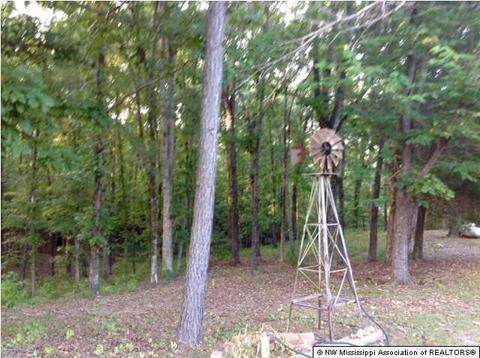 36 County Road 514, Como, MS 38619 photo 5