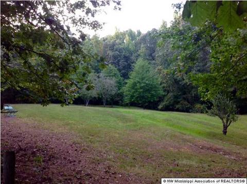 36 County Road 514, Como, MS 38619 photo 6