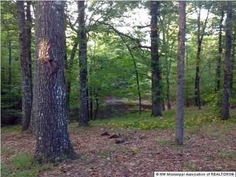 36 County Road 514, Como, MS 38619 photo 7