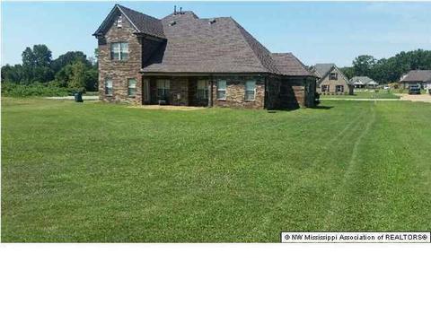 2088 Owl Wing Pl, Southaven, MS 38672 photo 28