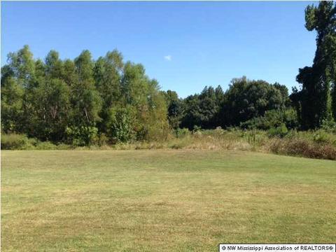2088 Owl Wing Pl, Southaven, MS 38672 photo 29