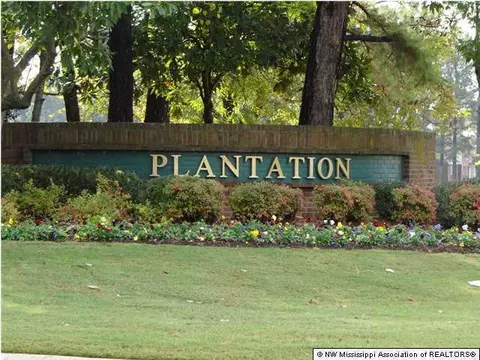 8252 Waverly Cv, Olive Branch, MS 38654 photo 23