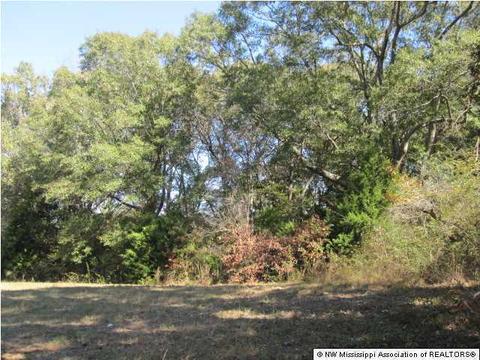 103 Cherrydale Dr, Coldwater, MS 38618 photo 10