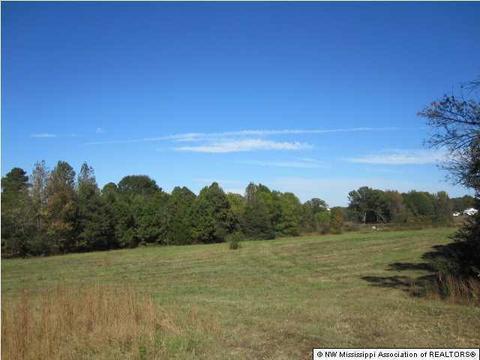 103 Cherrydale Dr, Coldwater, MS 38618 photo 13