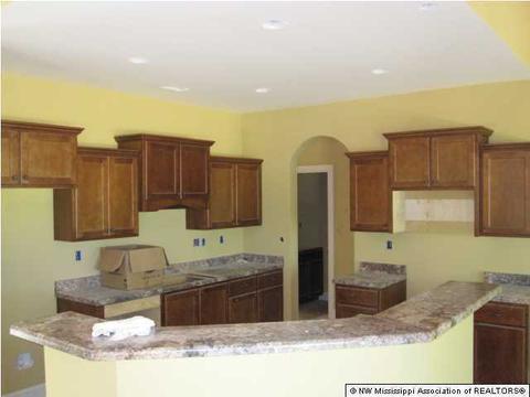 103 Cherrydale Dr, Coldwater, MS 38618 photo 16