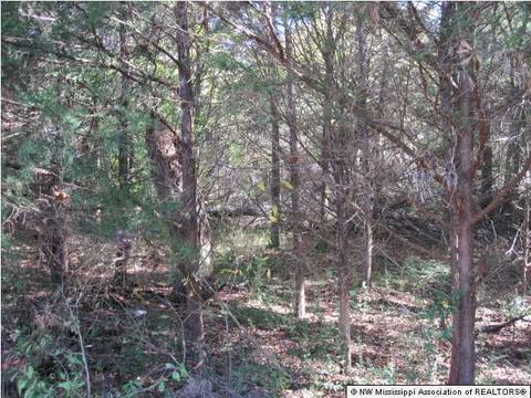 103 Cherrydale Dr, Coldwater, MS 38618 photo 9