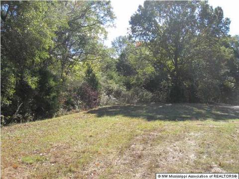 103 Cherrydale Dr, Coldwater, MS 38618 photo 15
