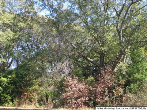 103 Cherrydale Dr, Coldwater, MS 38618 photo 12