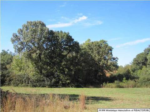103 Cherrydale Dr, Coldwater, MS 38618 photo 14