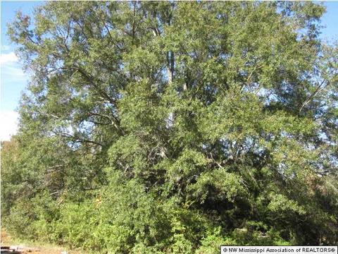 103 Cherrydale Dr, Coldwater, MS 38618 photo 11
