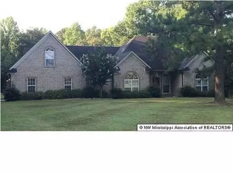 10015 Emerald Forest Dr, Hernando, MS 38632 photo 1