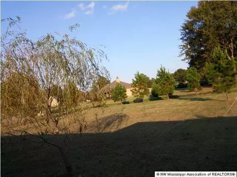 3228 Ivy Lane Dr, Hernando, MS 38632 photo 27