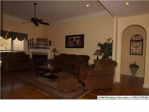 3228 Ivy Lane Dr, Hernando, MS 38632 photo 9