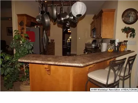 3228 Ivy Lane Dr, Hernando, MS 38632 photo 15