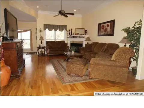 3228 Ivy Lane Dr, Hernando, MS 38632 photo 10