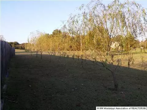 3228 Ivy Lane Dr, Hernando, MS 38632 photo 26