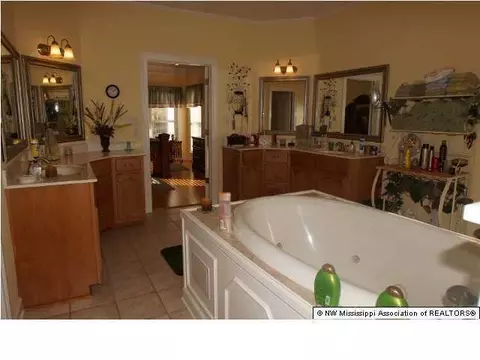 3228 Ivy Lane Dr, Hernando, MS 38632 photo 13