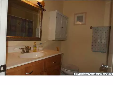 3228 Ivy Lane Dr, Hernando, MS 38632 photo 24