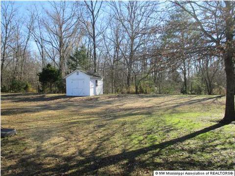 3095 Windermere Dr, Nesbit, MS 38651 photo 29
