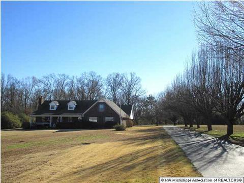 3095 Windermere Dr, Nesbit, MS 38651 photo 2