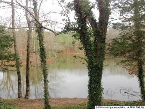 1404 Horn Lake Rd, Nesbit, MS 38651 photo 16