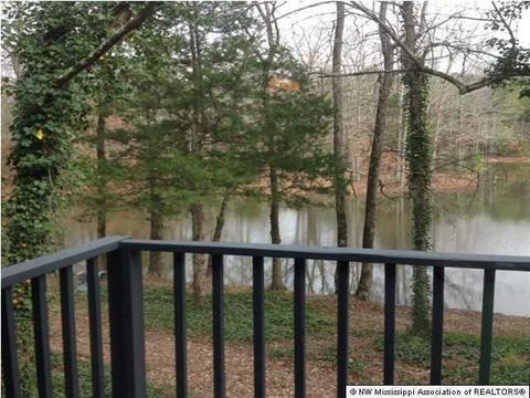 1404 Horn Lake Rd, Nesbit, MS 38651 photo 29
