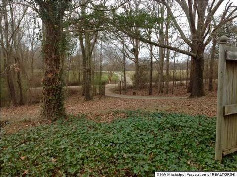 1404 Horn Lake Rd, Nesbit, MS 38651 photo 3
