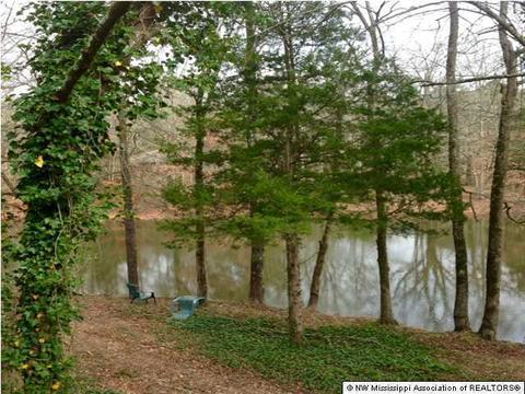 1404 Horn Lake Rd, Nesbit, MS 38651 photo 5