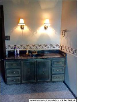 1404 Horn Lake Rd, Nesbit, MS 38651 photo 9
