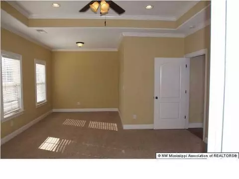 2800 Elise Dr, Hernando, MS 38632 photo 14