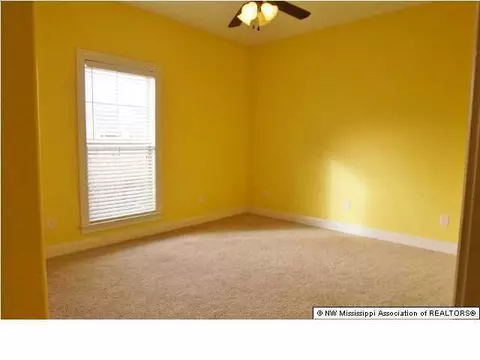 2800 Elise Dr, Hernando, MS 38632 photo 19