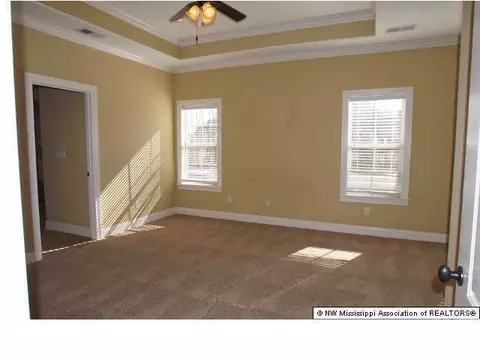 2800 Elise Dr, Hernando, MS 38632 photo 13