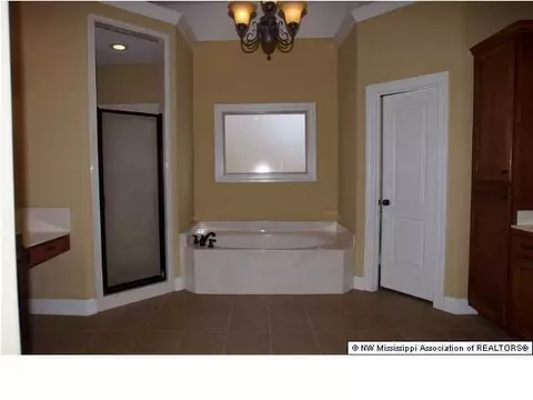 2800 Elise Dr, Hernando, MS 38632 photo 15