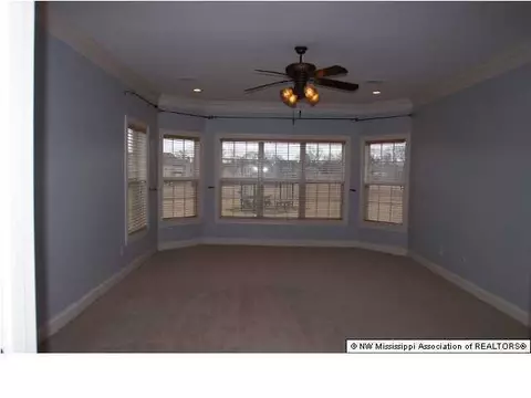8677 Cameron St, Olive Branch, MS 38654 photo 14