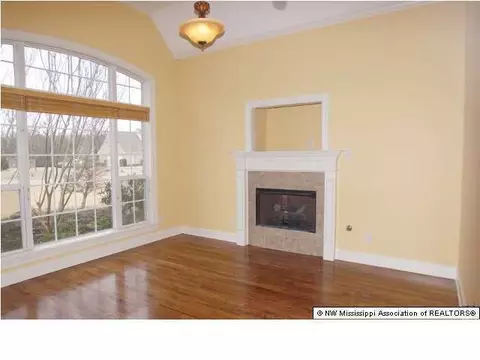 8677 Cameron St, Olive Branch, MS 38654 photo 11